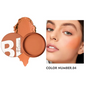 بلاشر مضغوط – Blush Palette